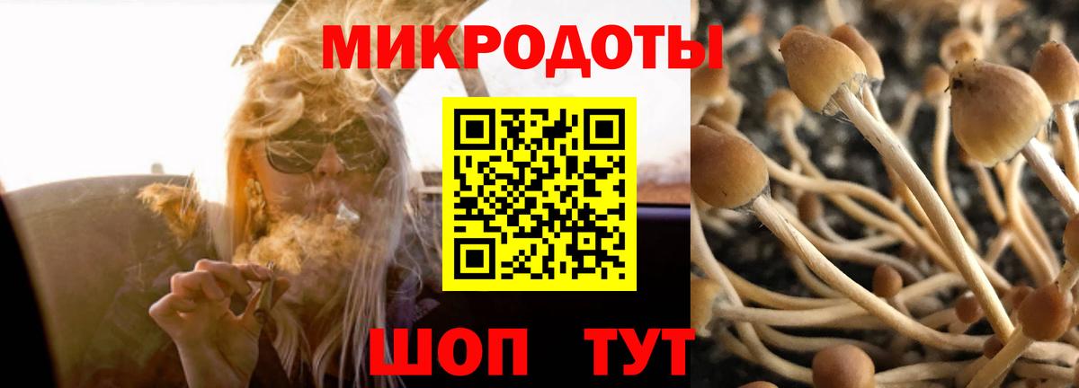 Воткинск  Псилоцибиновые грибы Psilocybe  Вход с VPN  как найти закладки  Галлюциногенные грибы MAGIC MUSHROOMS 
